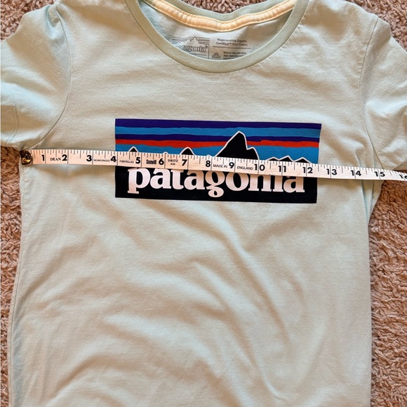 Patagonia Kids Youth XL 14 Graphic T Shirt Organic Cotton Light Green - Picture 7 of 11
